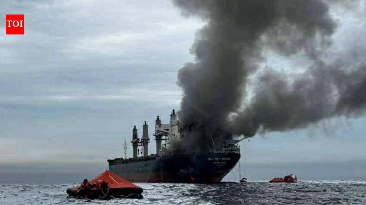 MEA condemns attack on India-bound Thai ship, says innocent lives lost in conflict 'unacceptable'