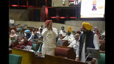 Punjab government wheat policy impact
