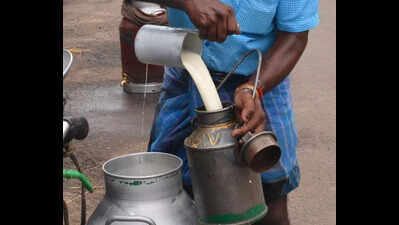 Milk adulteration claims 12th victim in Rajahmundry