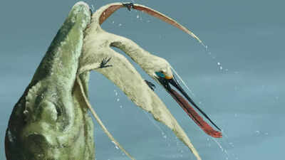 Scientists discover a new flying reptile inside 100-million-year-old dinosaur vomit