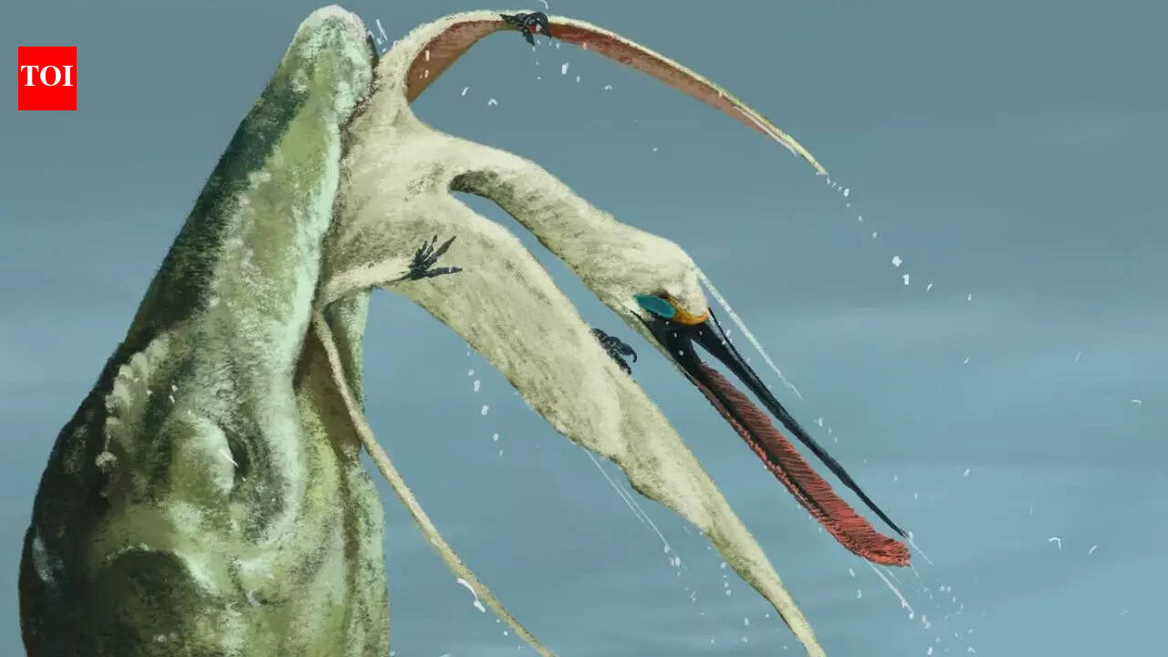 Scientists discover a new flying reptile inside 100-million-year-old dinosaur vomit