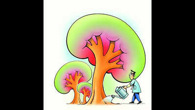 For improved kidney health, balance medical help & environmental aspects