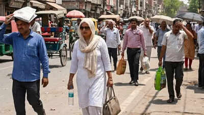 At 36.8°Celsius, hottest day in Delhi; rain on March 15 to bring relief