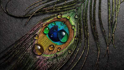 जप का महत्व एवं लाभ "हरे कृष्ण महा मंत्र"