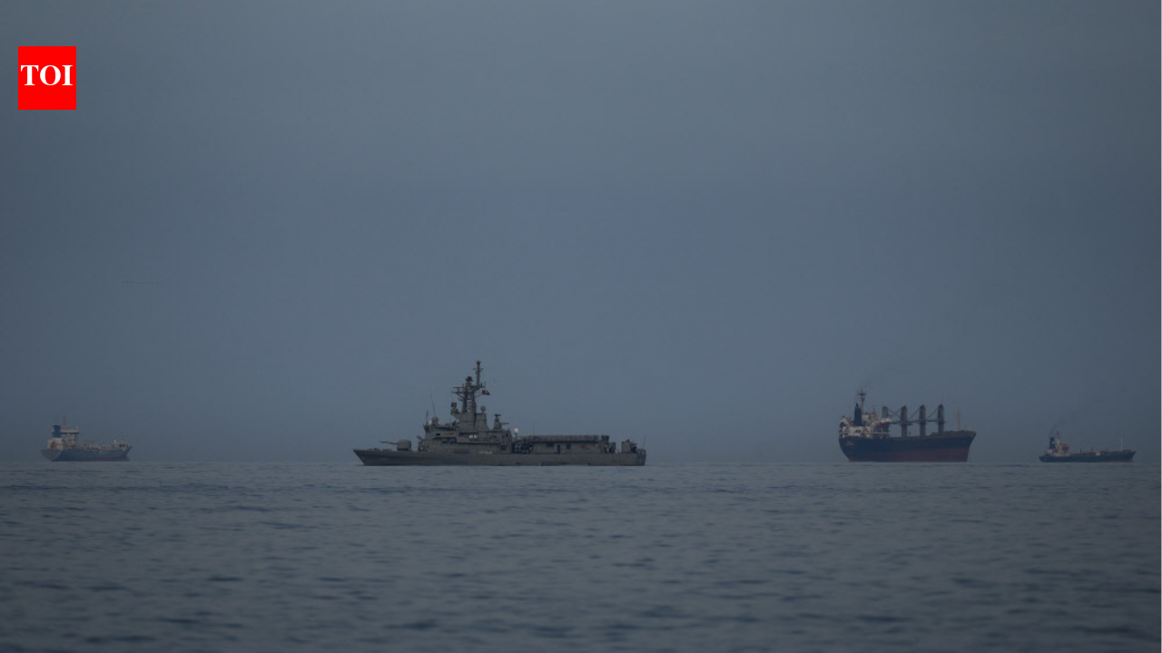 Indian ships get safe passage through Strait of Hormuz after Jaishankar-Iran FM talk