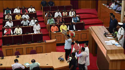 Cong MLAs demonstrate inside assembly ‘over shortage of LPG cylinders’