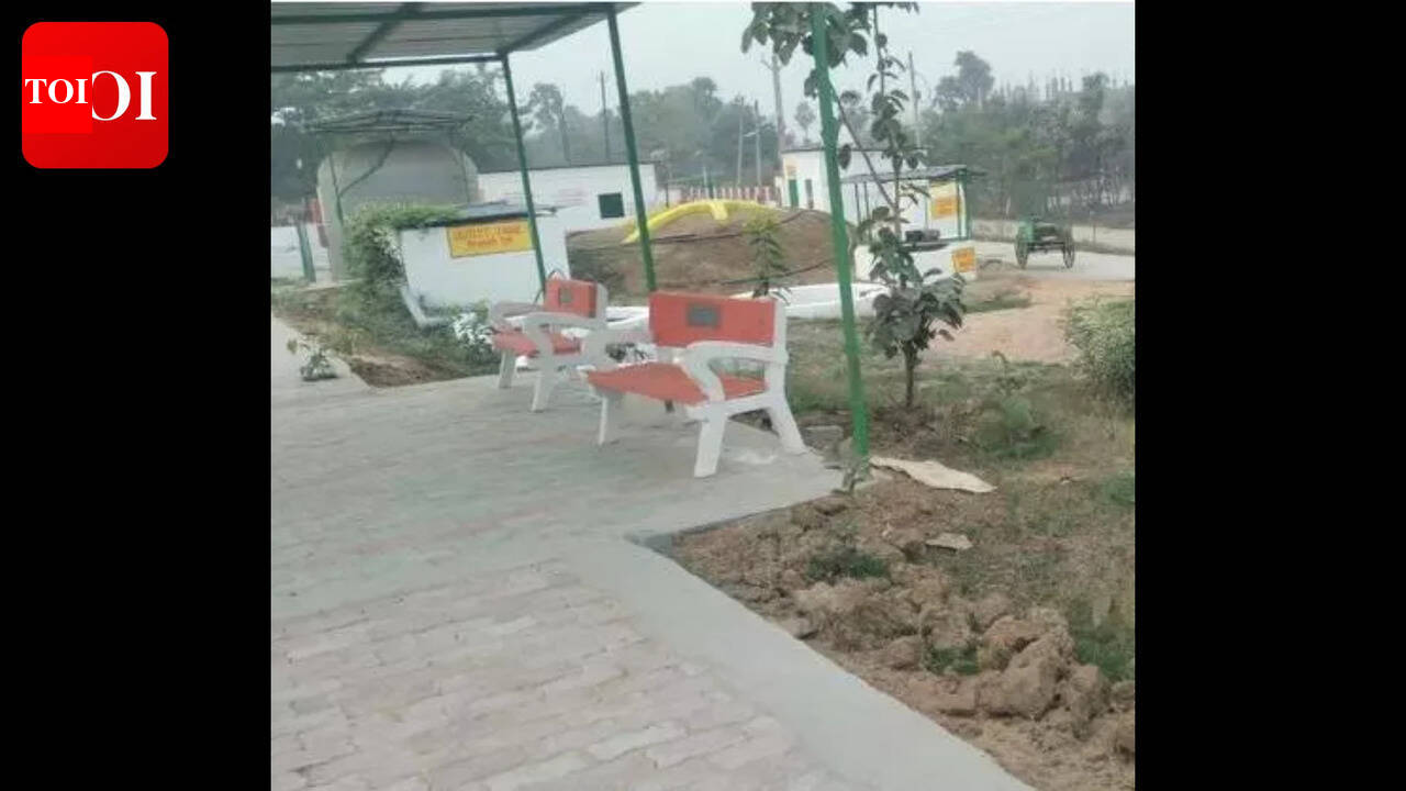 Biogas plant frees Gaya village from LPG dependence