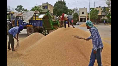 Jharkhand govt to enhance paddy procurement to meet target