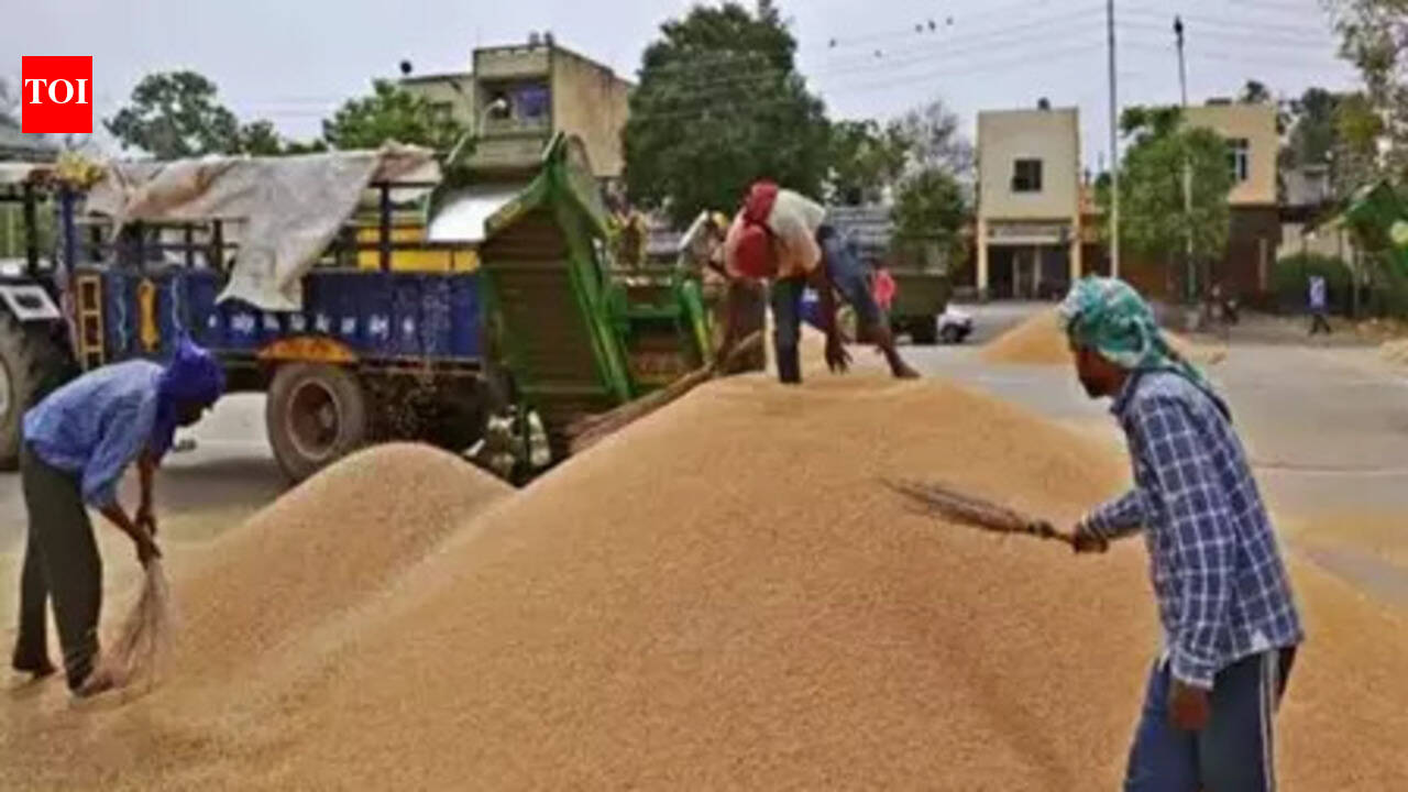 Jharkhand govt to enhance paddy procurement to meet target