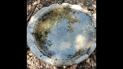 Navi Mumbai: Five artificial lakes made at Karnala Bird Sanctuary to meet scarcity needs