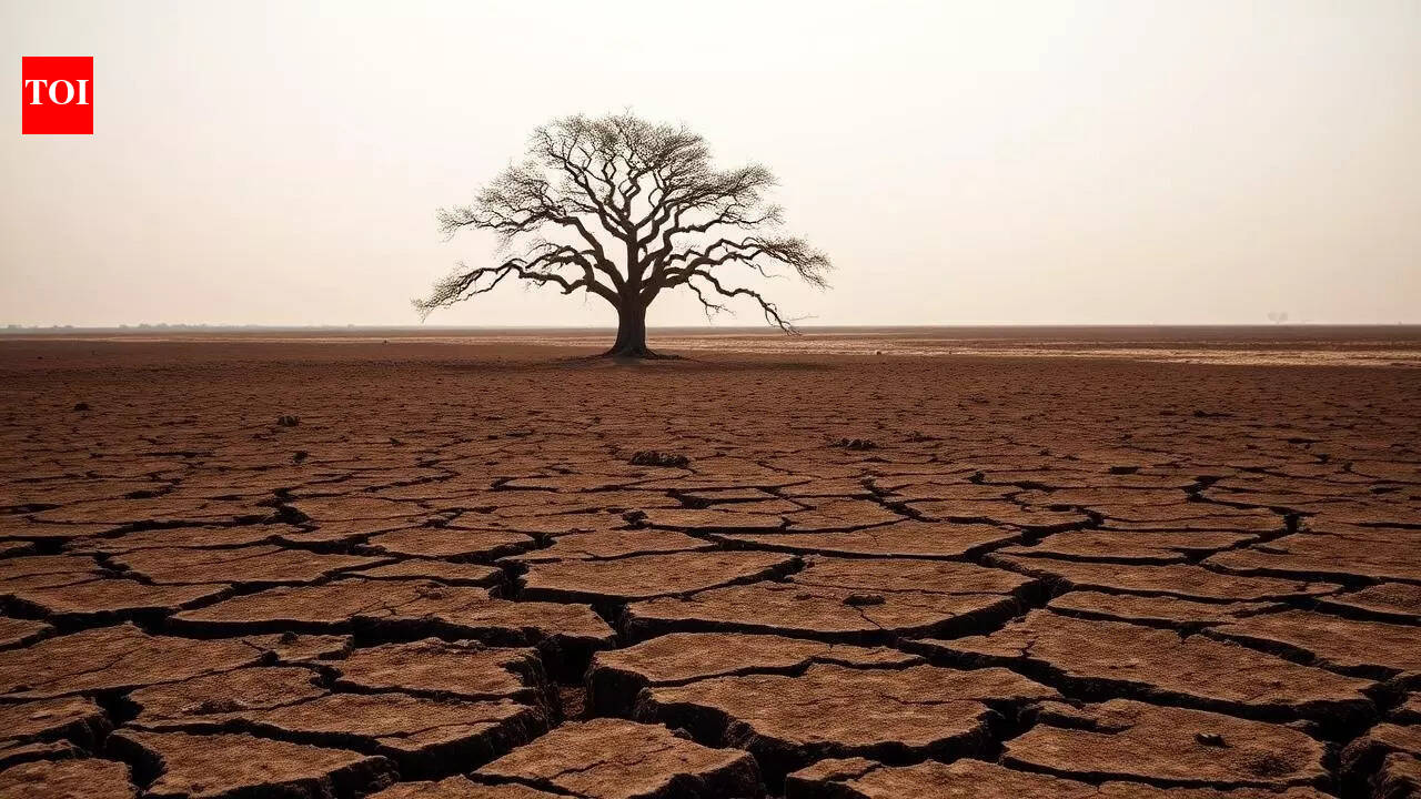 El Nino may set in by 1st half of monsoon: US forecast