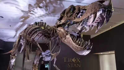 Are dinosaurs younger than we thought? Crocodile study challenges long-held age estimates