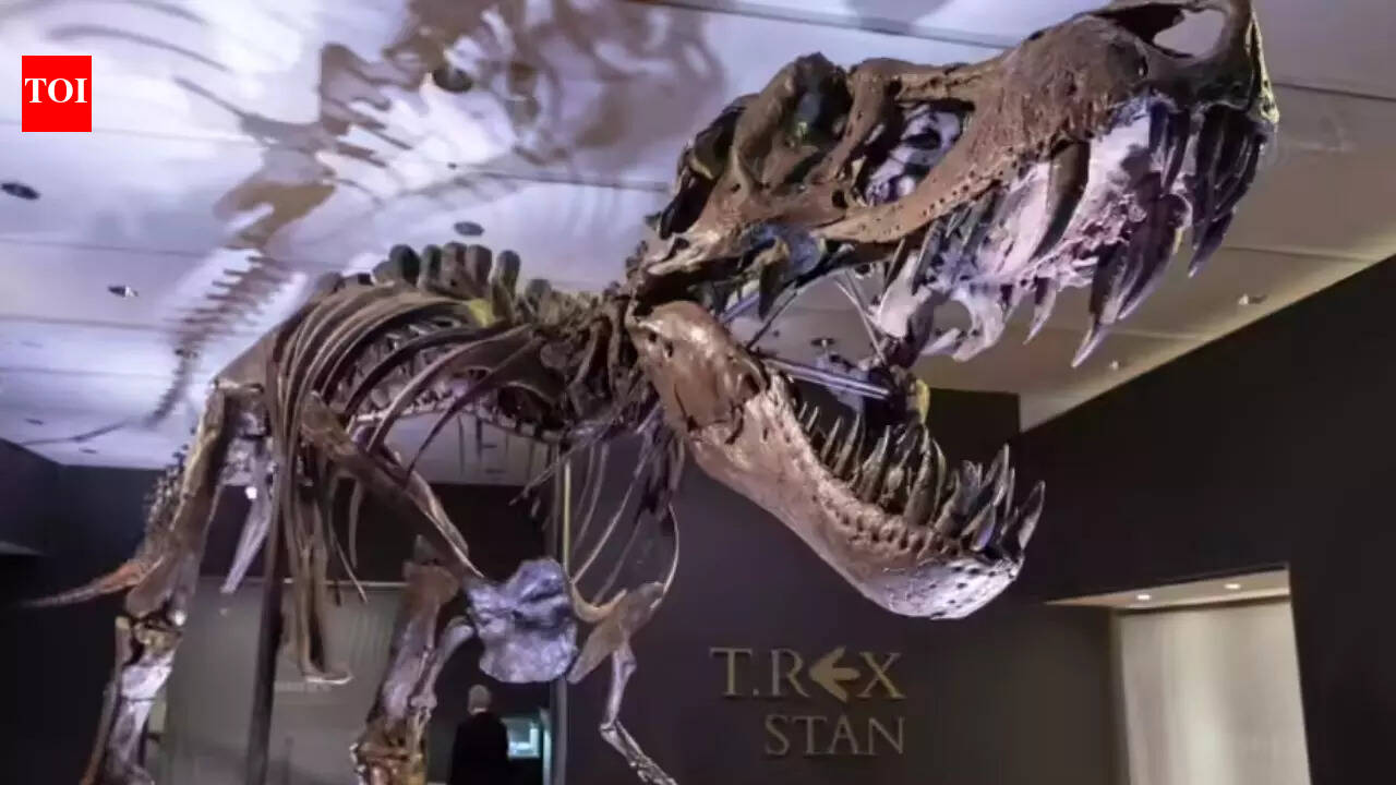 Are dinosaurs younger than we thought? Crocodile study challenges long-held age estimates