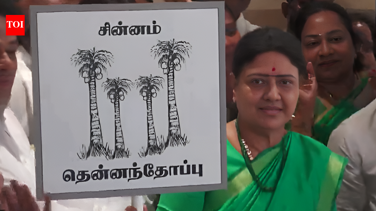 VK Sasikala announces new party name and symbol ahead of Tamil Nadu elections