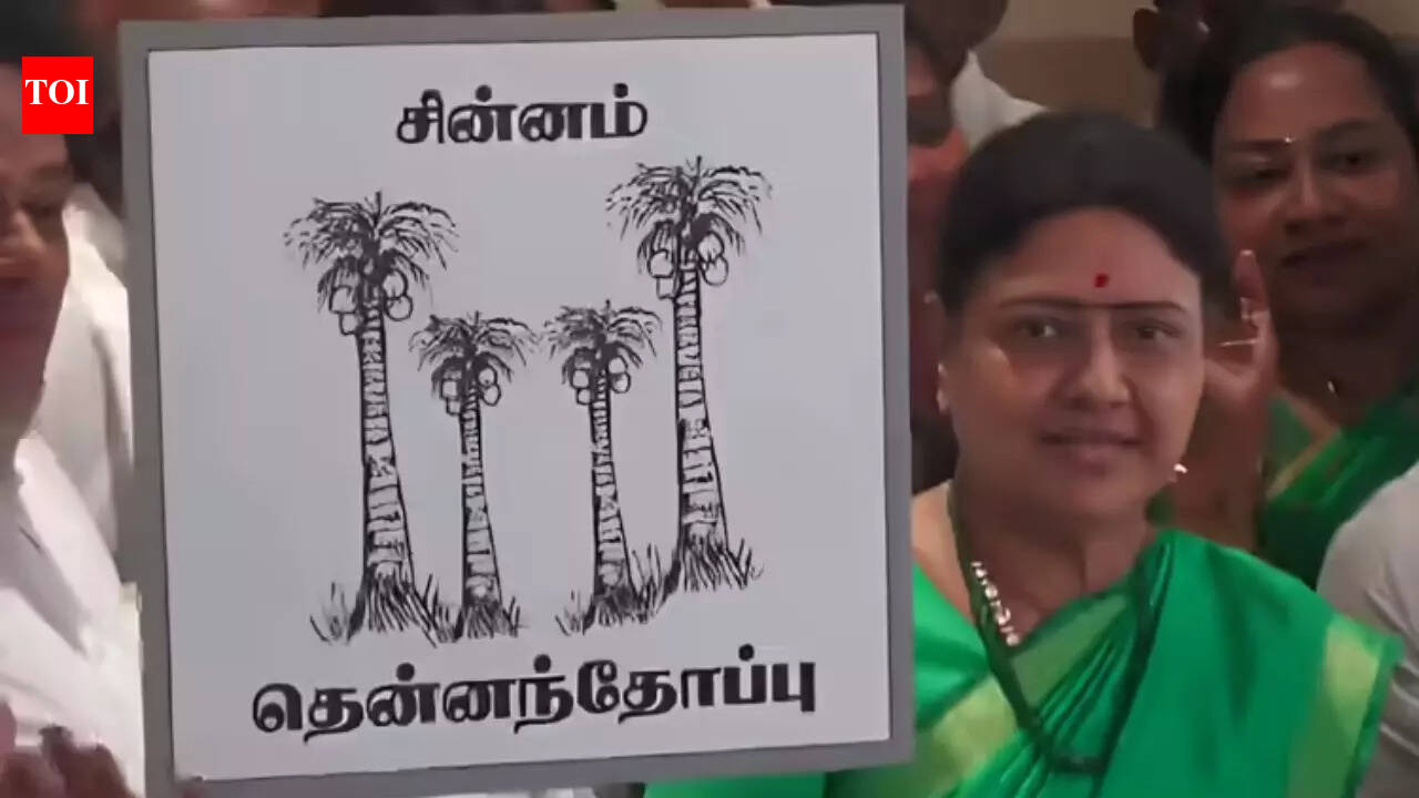 Sasikala’s new party AIPTMMK ready for Tamil Nadu and Puducherry polls, eyes strategic alliances