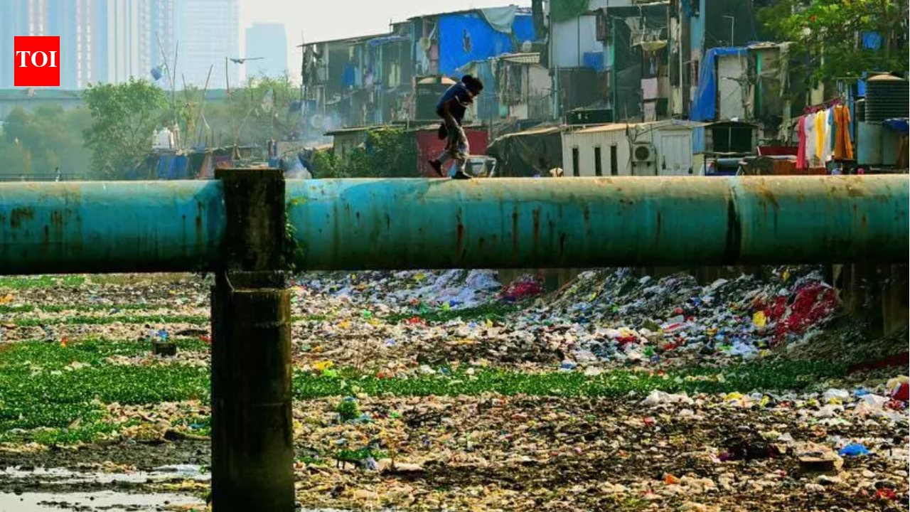 Zero bids for desilting of Mithi, BMC forced to extend deadline