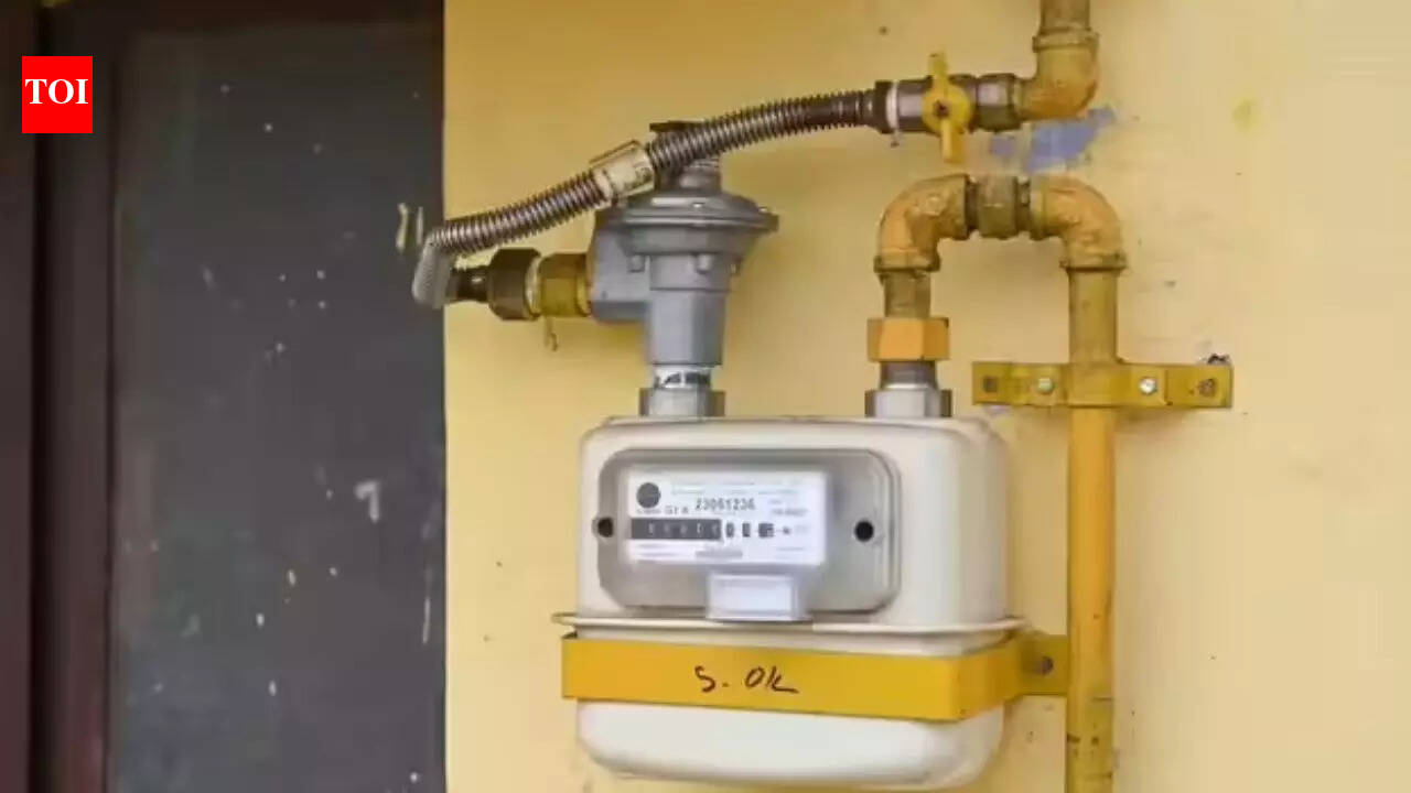 Better Piped Natural Gas (PNG) coverage could have eased supply situation: Experts