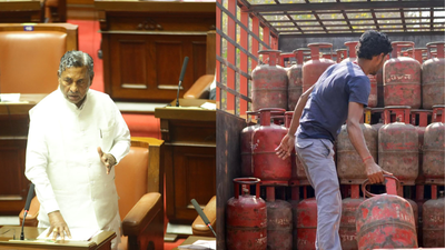 No LPG for hotels for a week, Karnataka govt asks hoteliers to use electric stoves