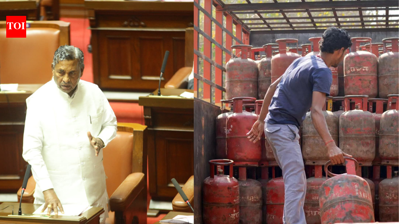 No LPG for hotels for a week, Karnataka govt asks hoteliers to use electric stoves