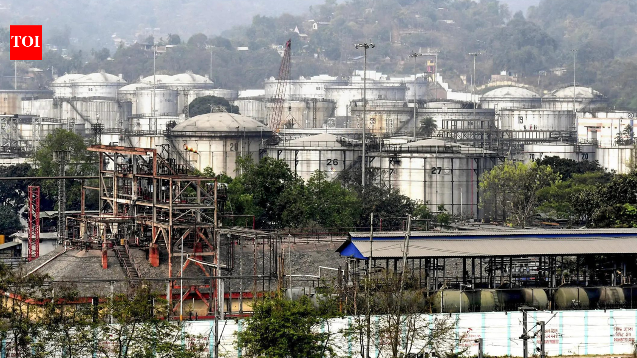 Refining relations: India pumps up goodwill as neighbours seek emergency fuel