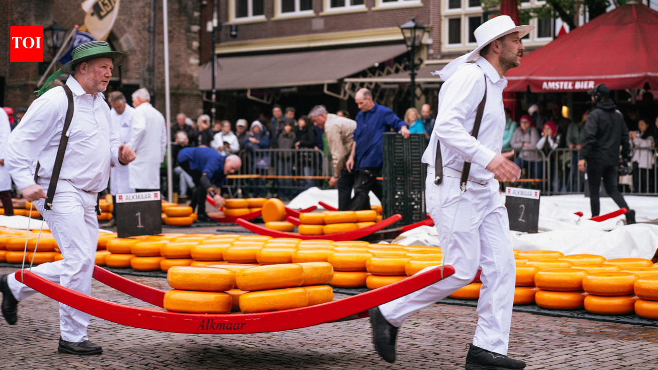 The Cheese ritual: Inside the 660-year-old Dutch market where men in white race with giant cheese wheels