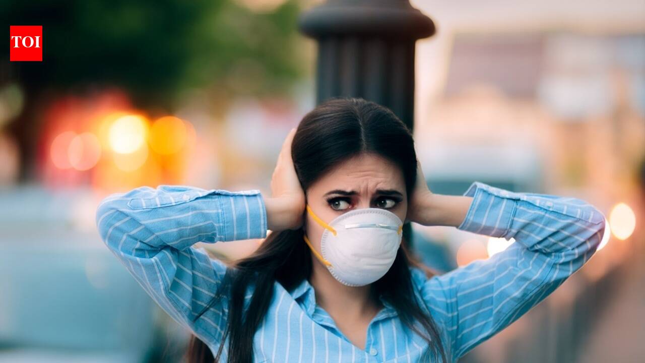 Patna HC pulls up officials over poor AQI in city, rising noise pollution