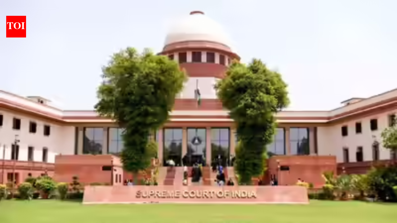 SC: अनिवार्य अवधि की छुट्टी कंपनियों को महिलाओं को काम पर रखने से रोक सकती है | भारत समाचार
