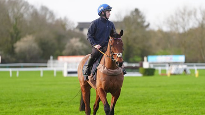 Legendary Cheltenham racehorse Envoi Allen dies moments after finishing last career race as Cheltenham Gold Cup farewell turns tragic