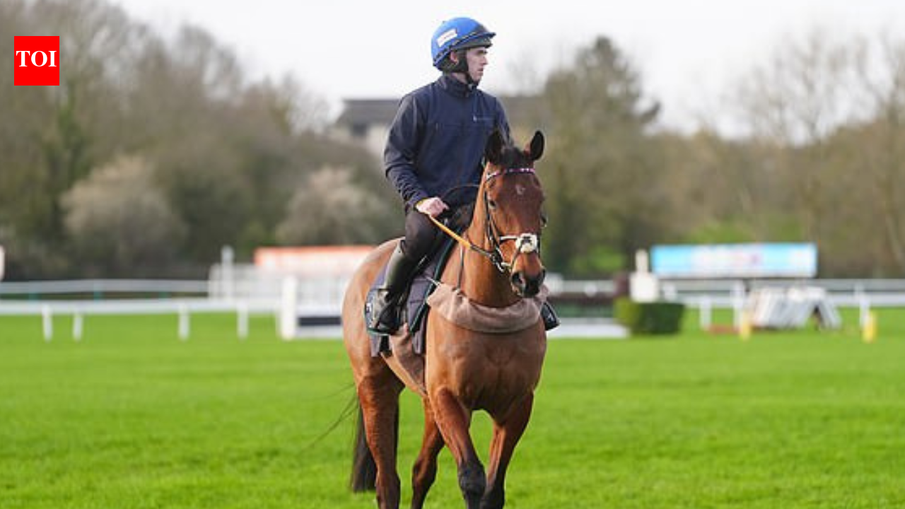 Legendary Cheltenham racehorse Envoi Allen dies moments after finishing last career race as Cheltenham Gold Cup farewell turns tragic
