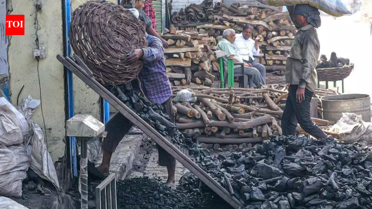 IVRS crash, WhatsApp failure hit LPG refills in Lucknow