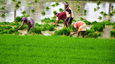Over 5 lakh farmers get PM-Kisan instalment worth Rs 170 crore in Prayagraj district