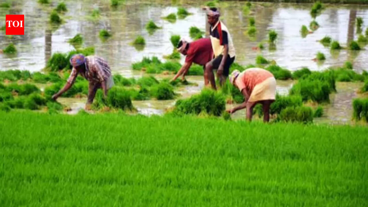 Over 5 lakh farmers get PM-Kisan instalment worth Rs 170 crore in Prayagraj district
