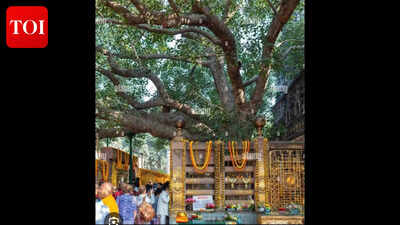 Hydro cleaning of Mahabodhi Mahavihara underway to protect ancient structure ahead of Buddha Purnima