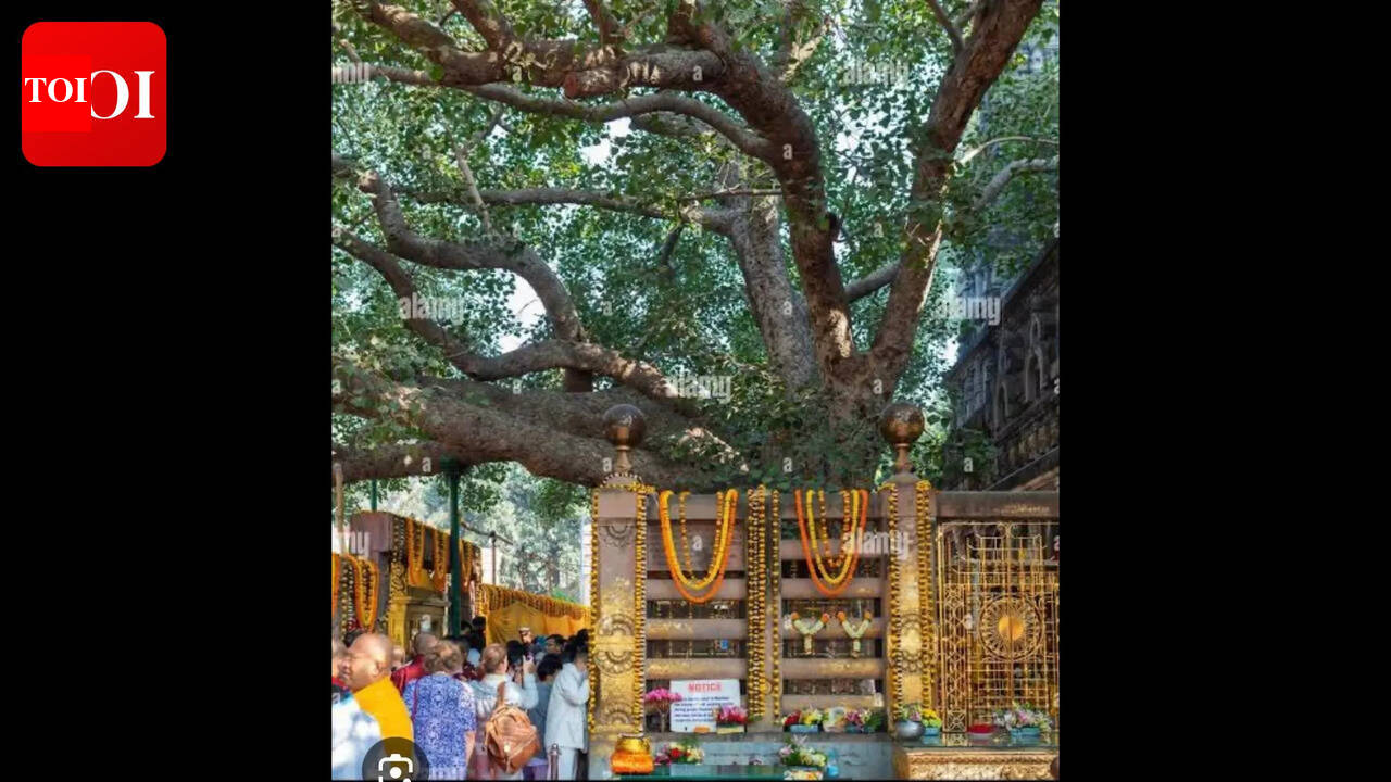 Hydro cleaning of Mahabodhi Mahavihara underway to protect ancient structure ahead of Buddha Purnima