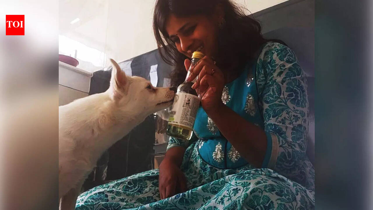 When a dog walks into a bar, it’s not a joke anymore