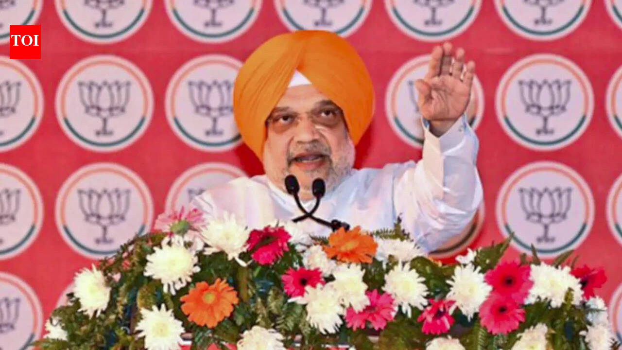 Punjab: Shah rules out Akali alliance revival, says BJP will fight 2027 polls to form own govt