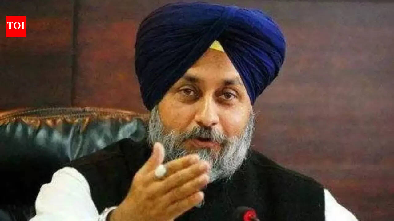 Every party has right to decide alliances: Sukhbir Badal on BJP going solo in 2027 Punjab polls