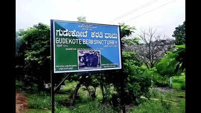 Bear attacks around Gudekote sanctuary leave trail of death and disabilities