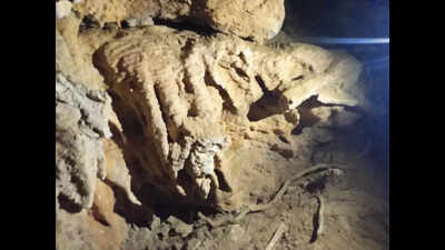 Rtd principal rediscovers long-forgotten cave near Pithoragarh