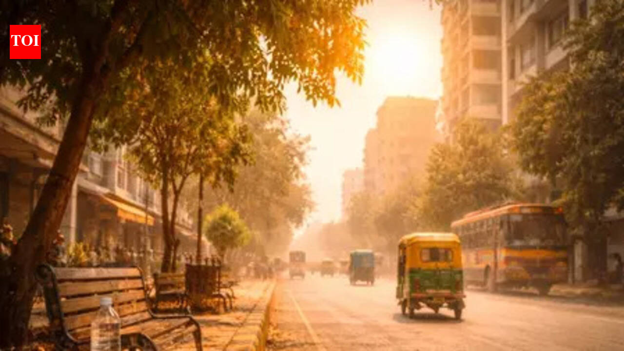 Heatwave-like conditions in 7 dists: IMD