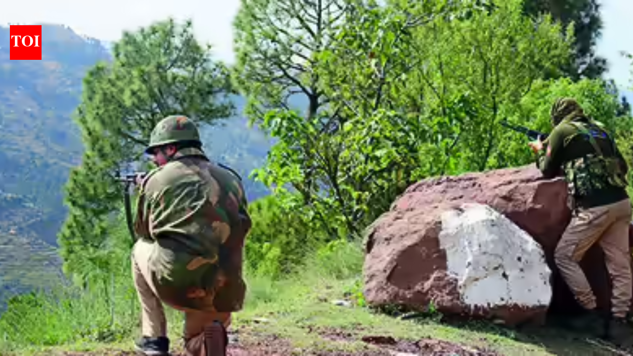 JCO dies during anti-terror op in Poonch