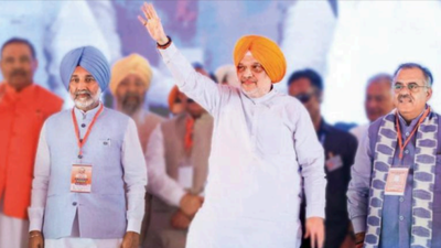 Will ban conversions if BJP forms govt In Punjab: Shah