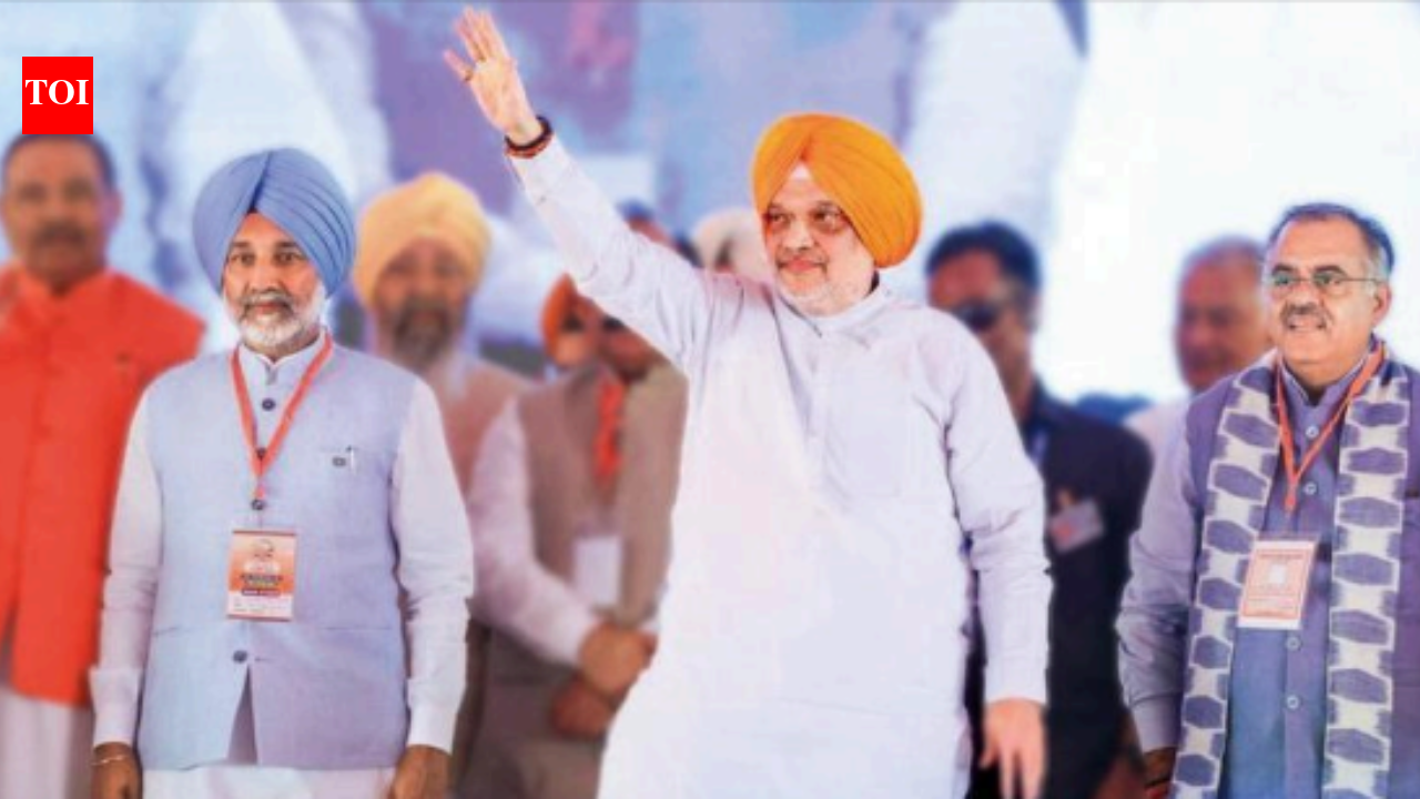 Will ban conversions if BJP forms govt In Punjab: Shah