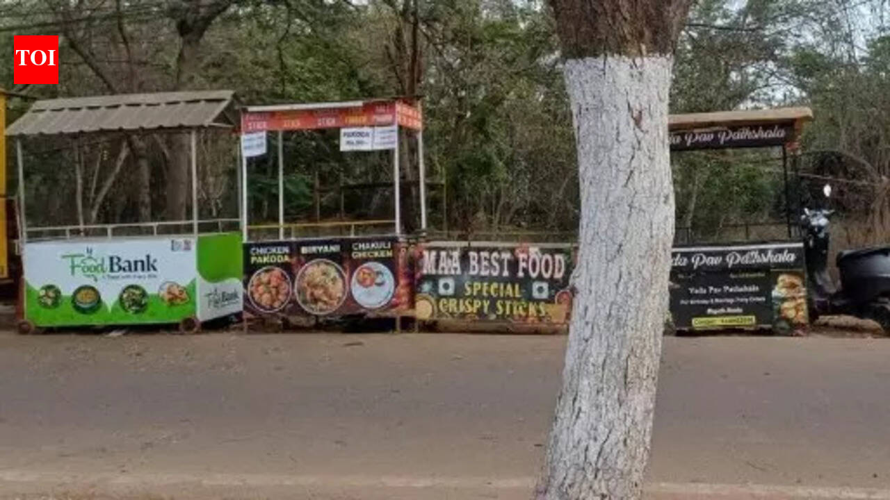 LPG shortage hits Bhubaneswar Khao Galis: Street food vendors struggle