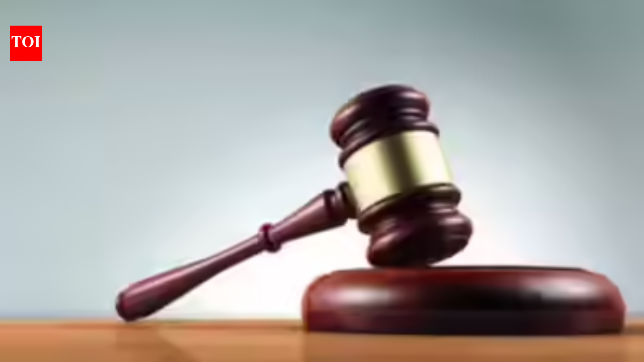 HC to Sambhal DM, SP: Quit if you can't enforce rule of law