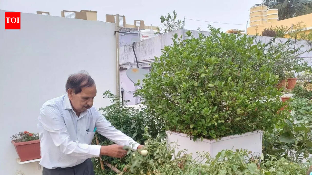 Septuagenarian’s ‘lab of natural farming’ thrives on rooftop in Jagamara