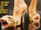 Schiaparelli's hyper-realistic 'Cat Heels' break the internet