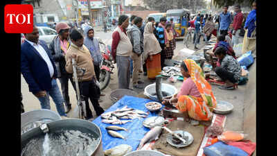  Bihar launches strict measures against illegal meat and fish shops