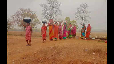 Ensure there is no shortage of drinking water, fodder during summer: DC Snehal