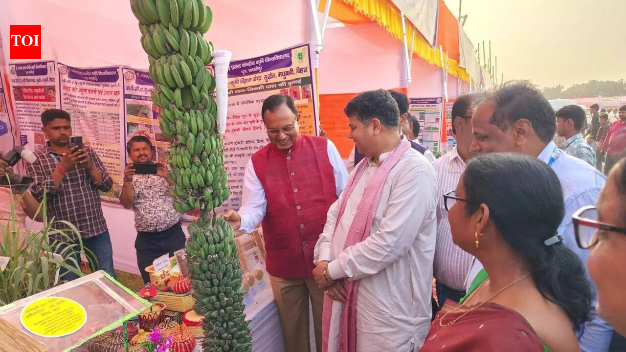 Efficient water use vital for sustainable agriculture: Minister